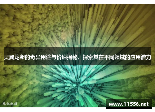 灵翼龙卵的奇异用途与价值揭秘，探索其在不同领域的应用潜力