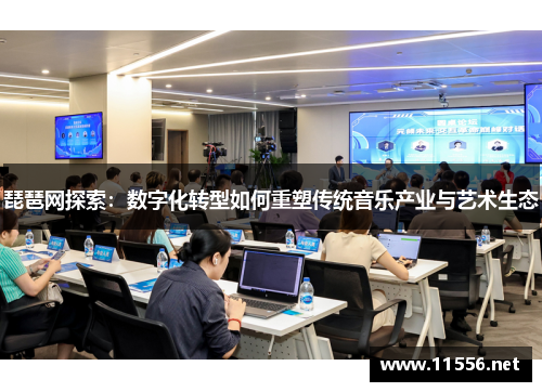 琵琶网探索：数字化转型如何重塑传统音乐产业与艺术生态