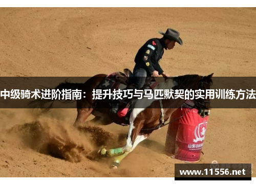 中级骑术进阶指南：提升技巧与马匹默契的实用训练方法